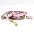 Bild in Galerie-Betrachter laden, Hundeleine, handgemacht, Hundehalsband, Set, Lucyludesign
