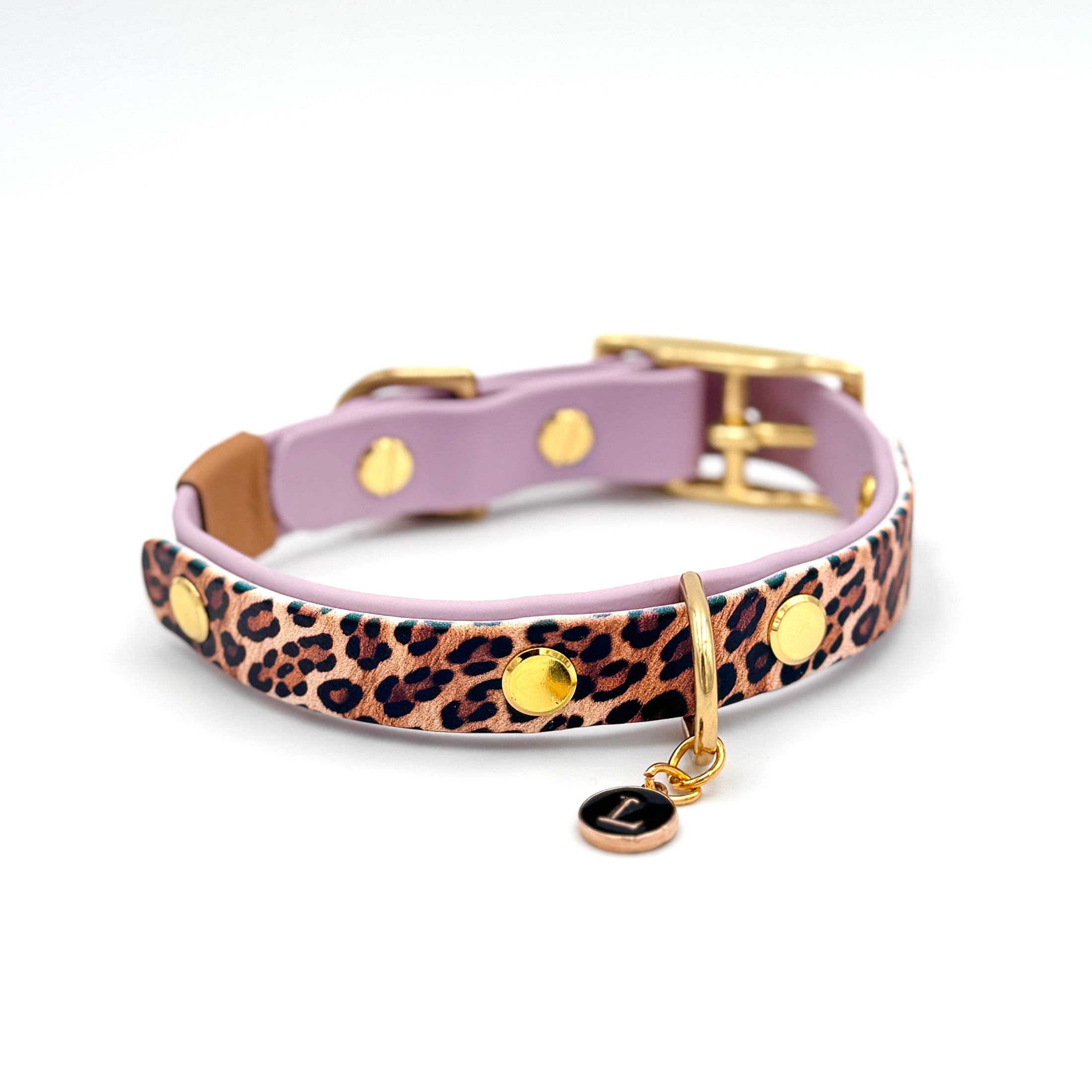 Leo Mixies Hundehalsband mit BioThane-Farbe nach Wahl