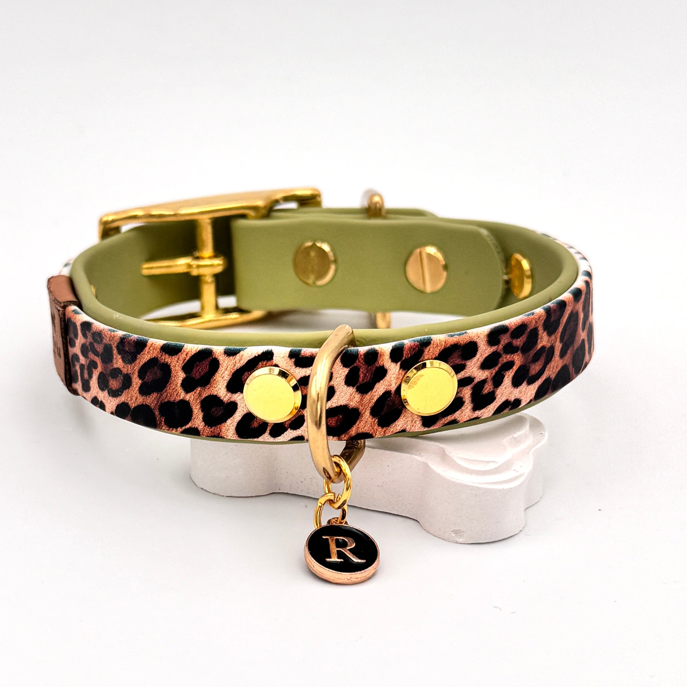Leo Mixies Hundehalsband mit BioThane-Farbe nach Wahl