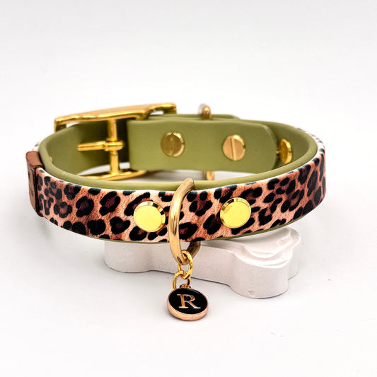 Leo Mixies Hundehalsband mit BioThane-Farbe nach Wahl