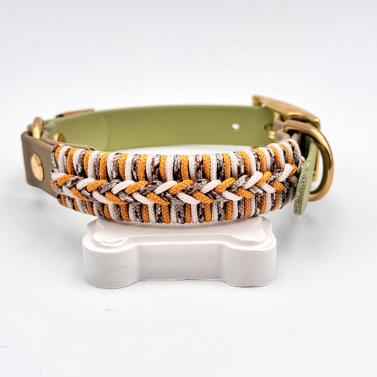 BioThane Halsband Jungle – wasserfest & robust