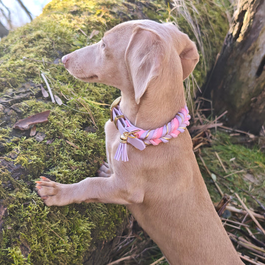 BioThane Halsband Blush 2.0 – zarte Frühlingsfarbe