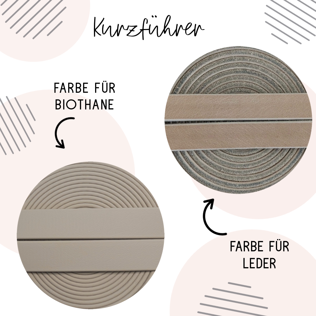 Calma Alva Hundeleine aus geflochtenem Paracord in der Alva-Farbkombination mit optionalem Kurzführer aus BioThane® oder Leder.