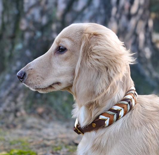 Leder Hundehalsband „Loam“ – handgemacht & naturverbunden