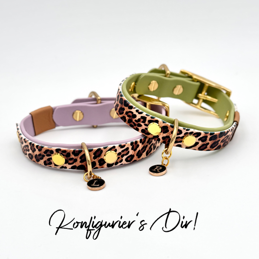 BioThane Hundehalsband Leo Mixies – individuell konfigurierbar