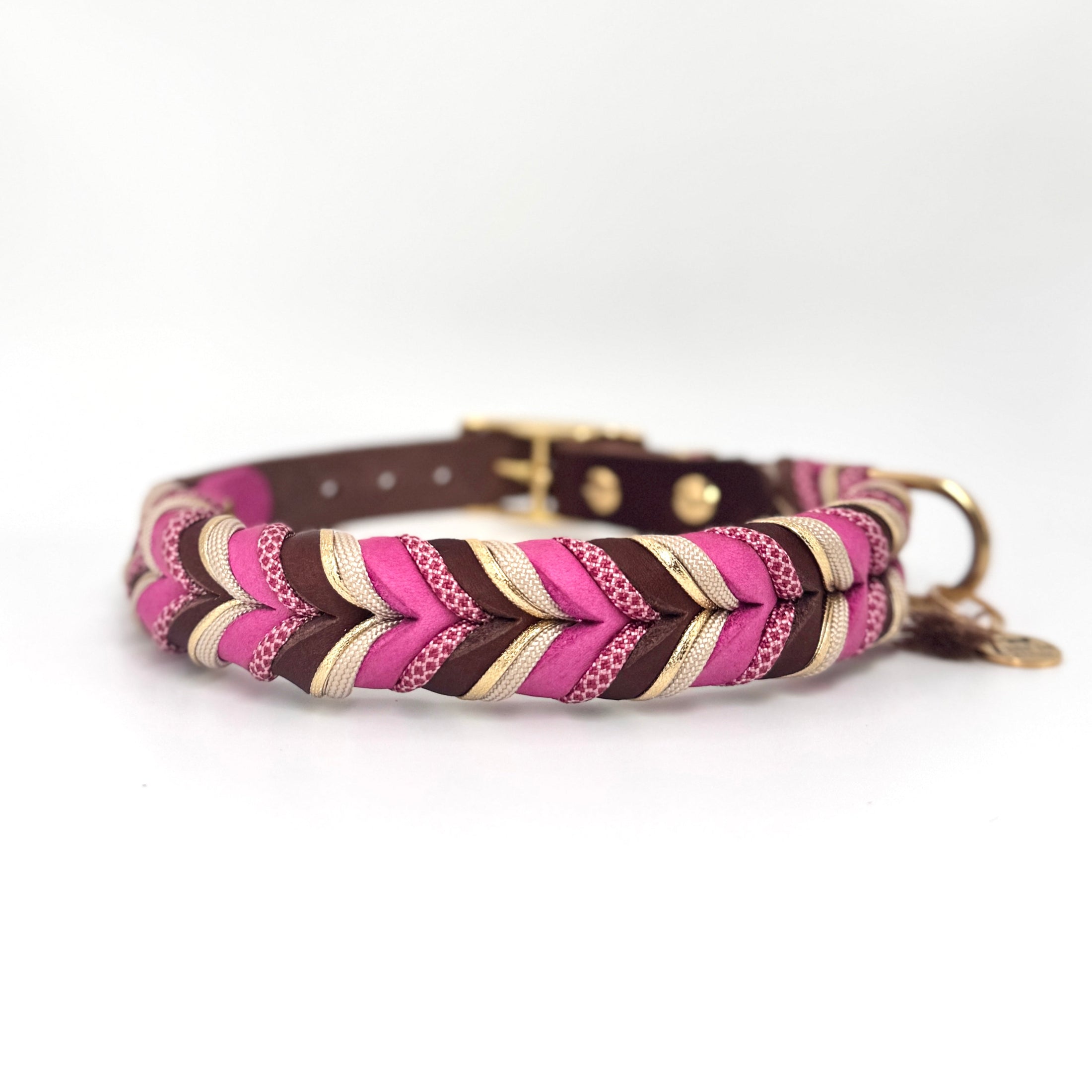 Hund mit Lederhalsband „Schocko-Berry“