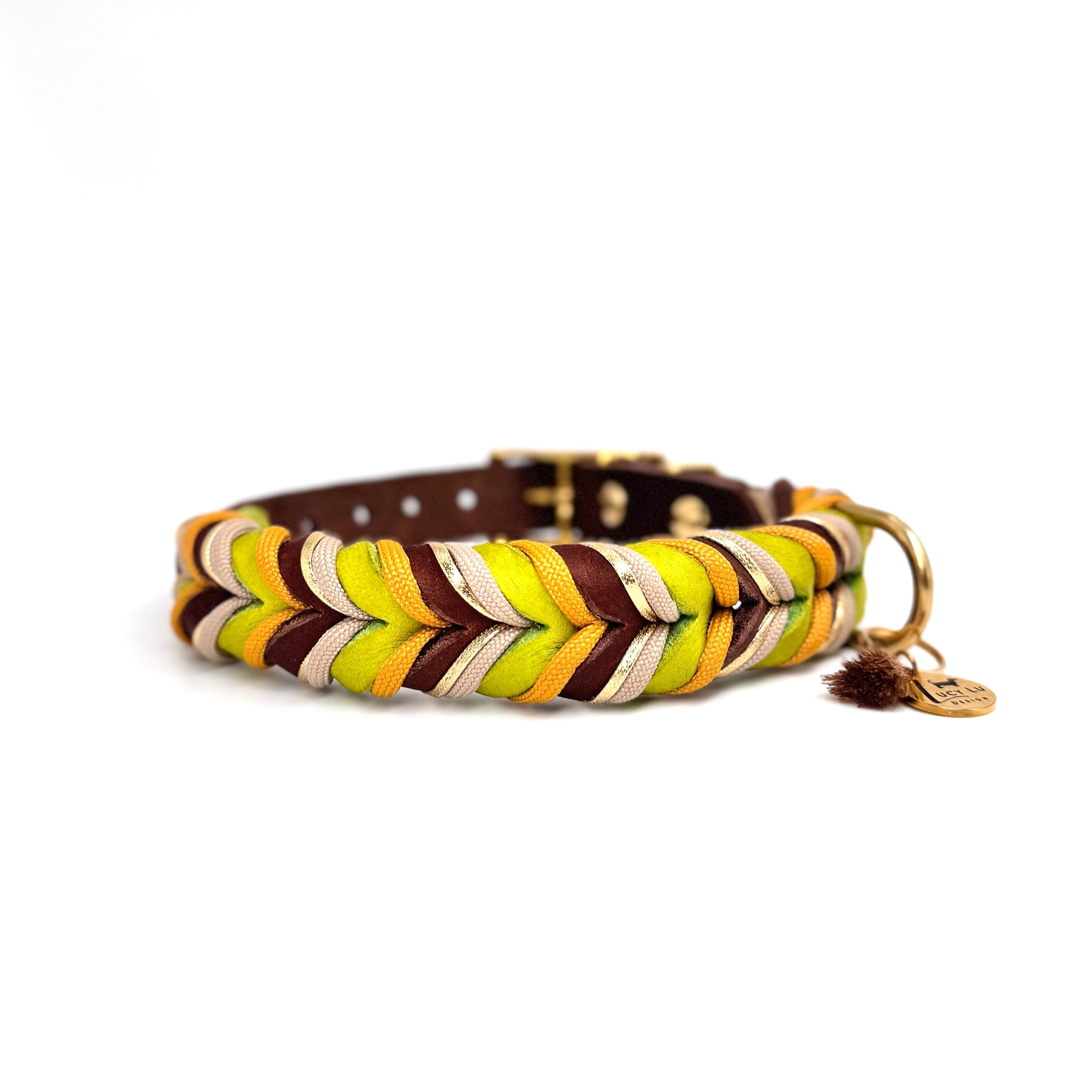 Hund mit Lederhalsband „Retro“ im Vintage-Stil