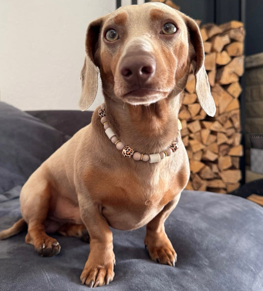 Natürlicher Zeckenschutz Hund – EM-Kette Fossil Design