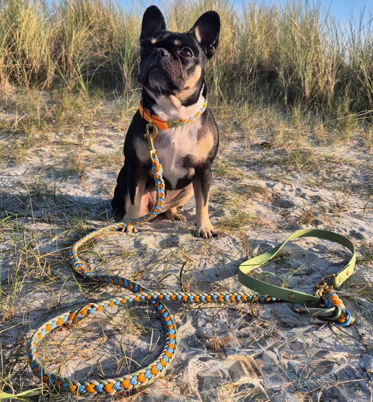 Paracord Hundeleine, geflochtene Hundeleine, Hundeleine mit Kurzführer, verstellbare Hundeleine, handgemachte Hundeleine, Calma Kollektion