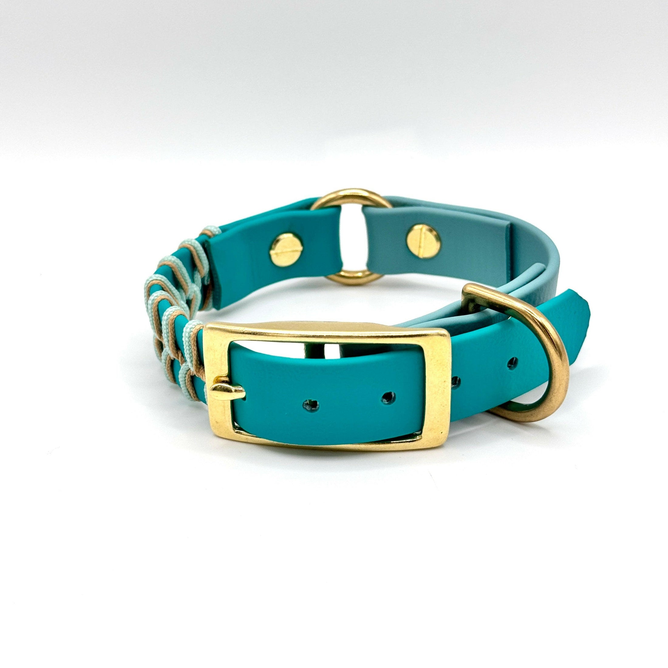 BioThane Halsband Laguna – wasserfest & robust
