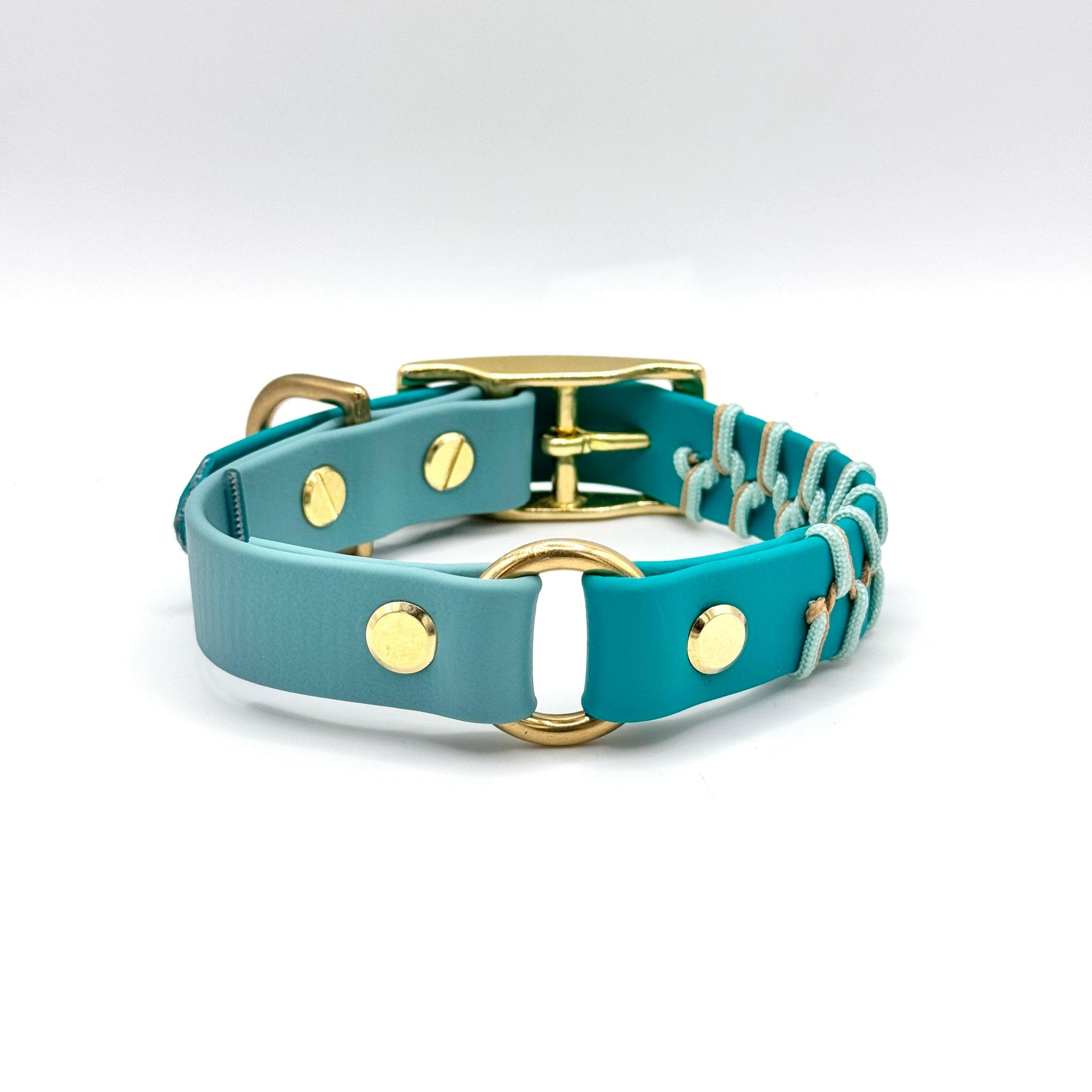 BioThane Halsband Laguna – wasserfest & robust