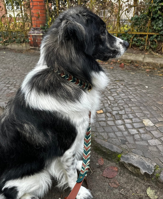 Halsband Holly 2.0 – handgefertigt aus BioThane® von LucyLu Design®