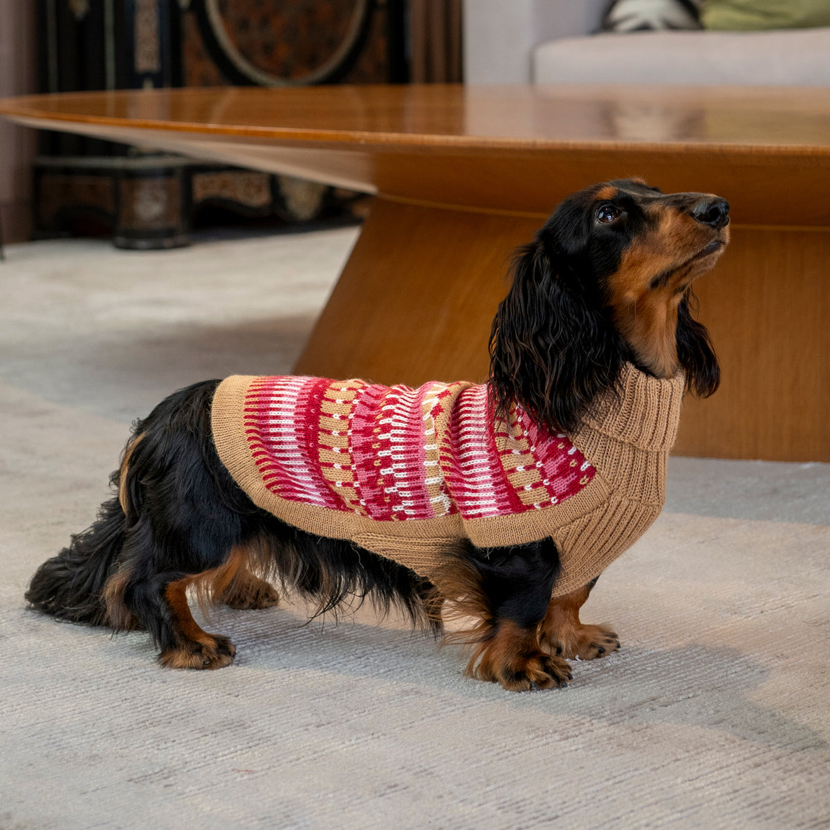 Hundepullover Ice Magic Cherry aus Alpakawolle