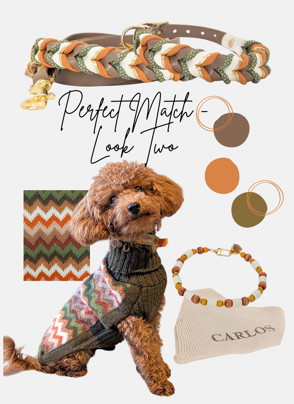 Perfect Match Look Two – stilvoll kombinierte Halsband- und Leinensets für Hunde von LucyLu Design®