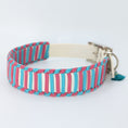 Bild in Galerie-Betrachter laden, Biothane Halsband, Hundehalsbänder, Hund, Halsband mit Paracord
