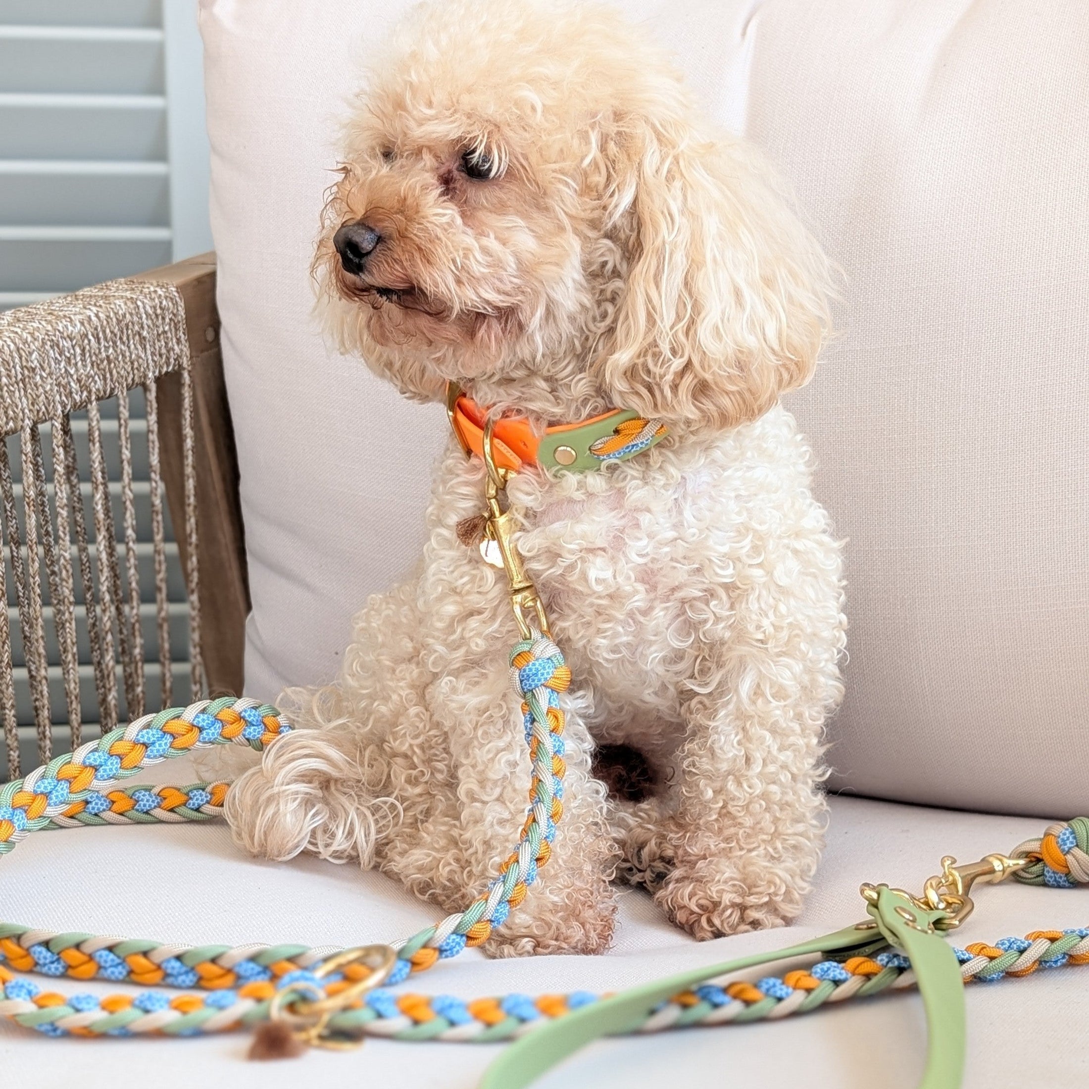 BioThane Hundehalsband, geflochtenes Hundehalsband, wasserfestes Hundehalsband, handgemachtes Hundehalsband, Calma Kollektion