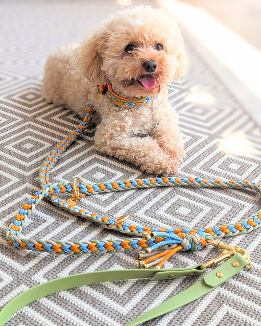 Paracord Hundeleine, geflochtene Hundeleine, Hundeleine mit Kurzführer, verstellbare Hundeleine, handgemachte Hundeleine, Calma Kollektion