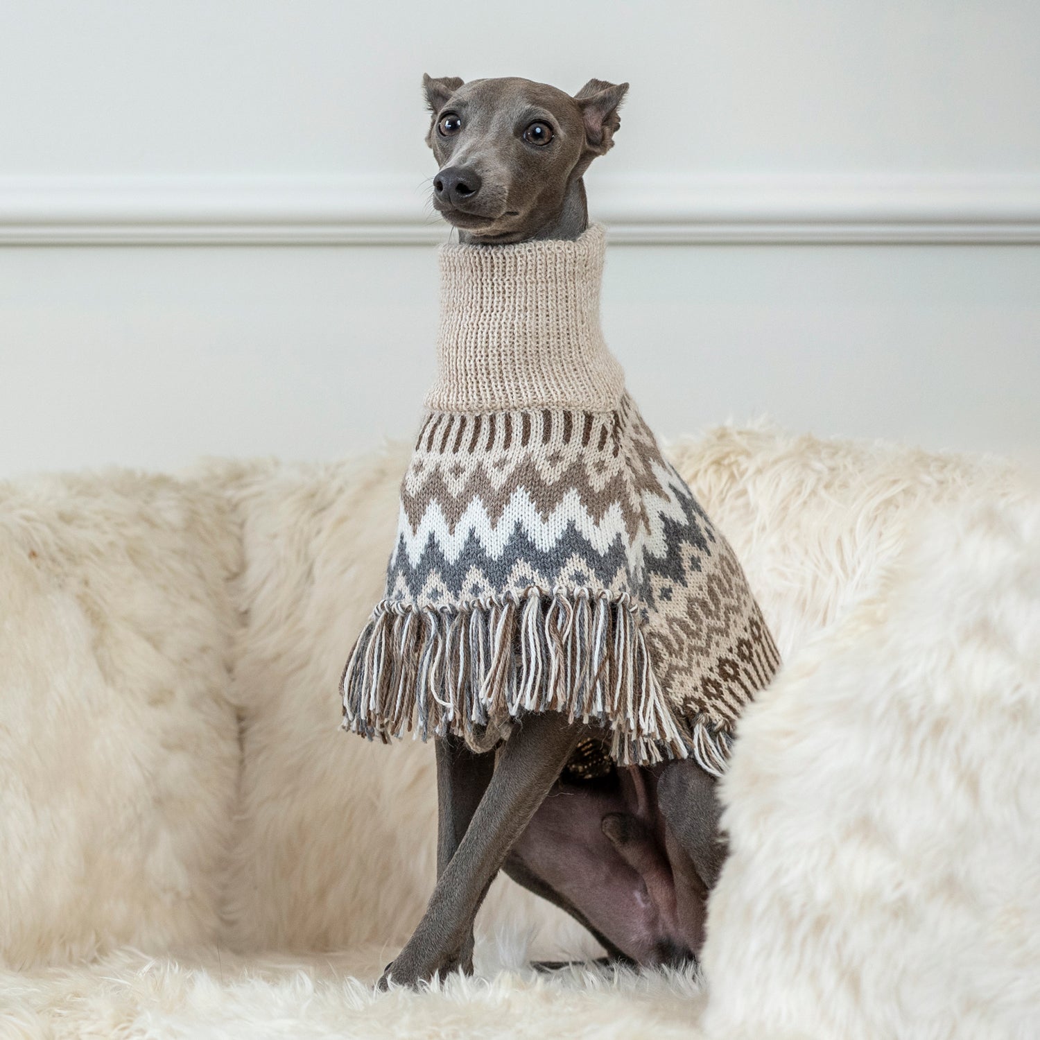 Hundeponcho Woolly Winter – handgefertigt von Alqo Wasi aus Alpakawolle.