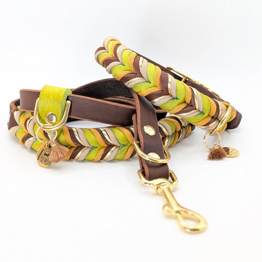 Set, Lederhundeleine, Lederhundehalsband, Hundeaccessoires