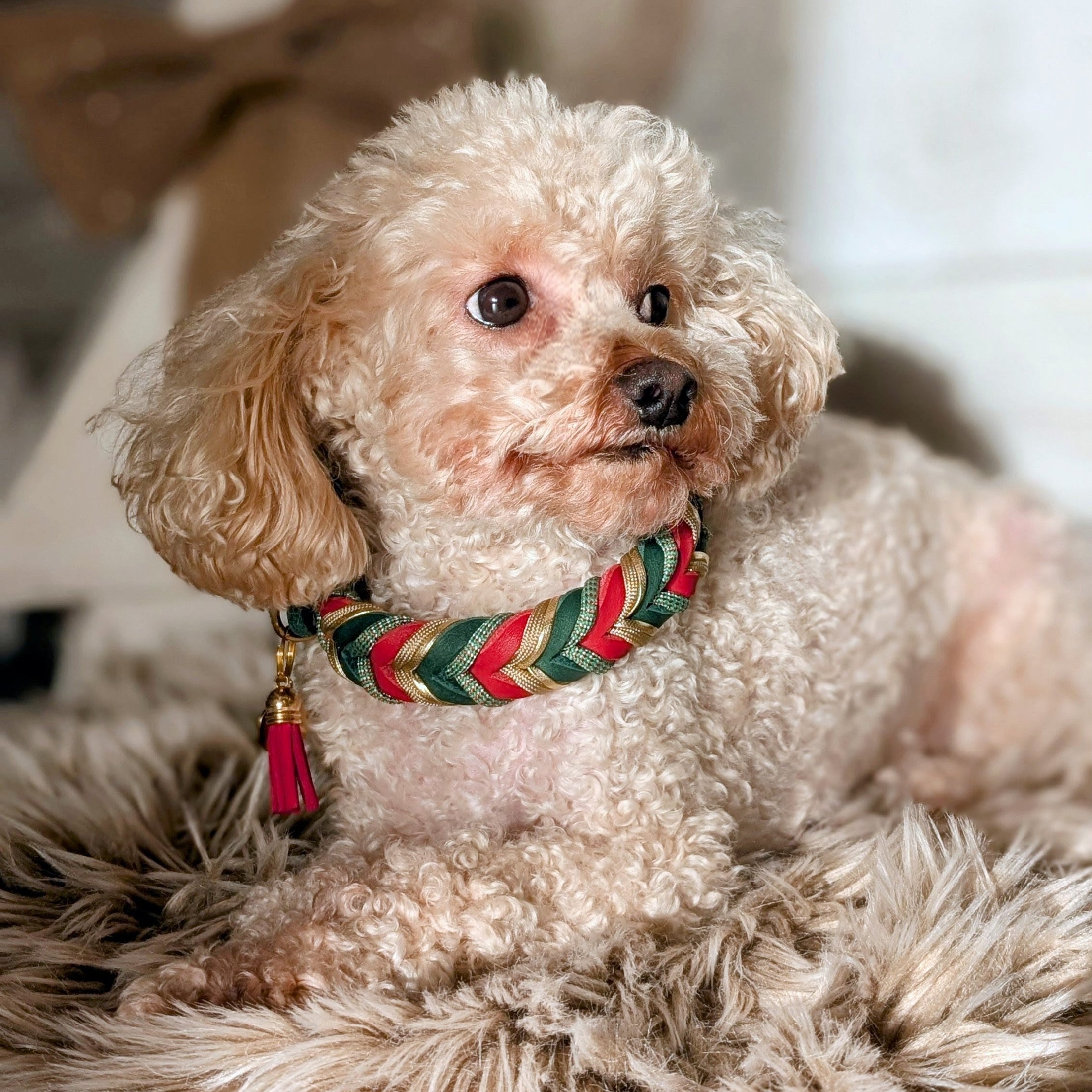 Halsband Holly – handgefertigt aus Fettleder von LucyLu Design®