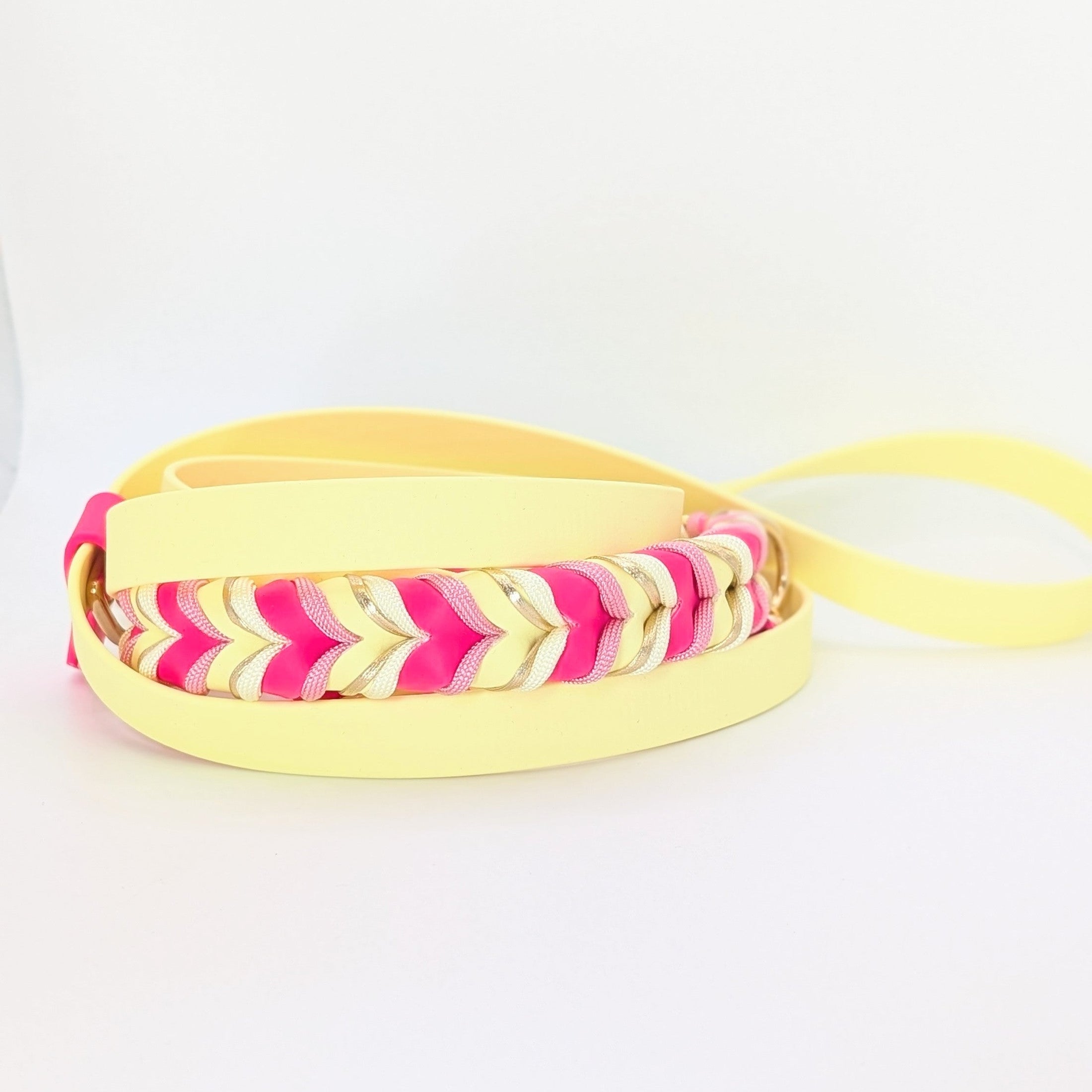 BioThane® Set Candy Cream 2.0 – Halsband & Leine im Sommerlook