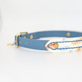 Bild in Galerie-Betrachter laden, Halsband, BioThane Halsband, Hundeleine, LucyLu Design, handgemachte Hundeleine

