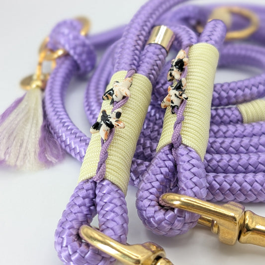 Hundeleine, Lederleine, Taueine, Hundehalsband