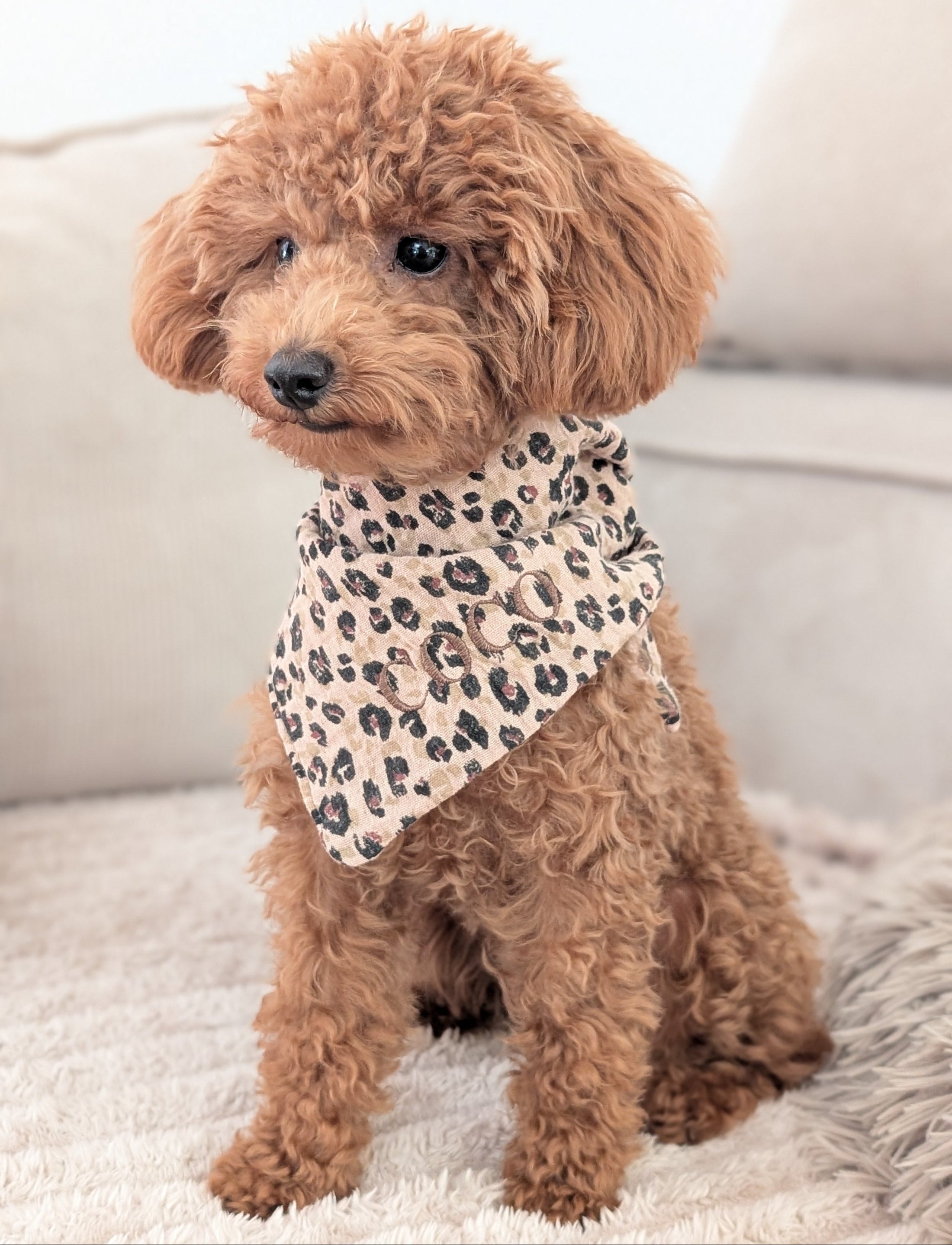 „Musselin-Bandana Leo Caramel – handgefertigtes Hundebandana mit Leo-Print“