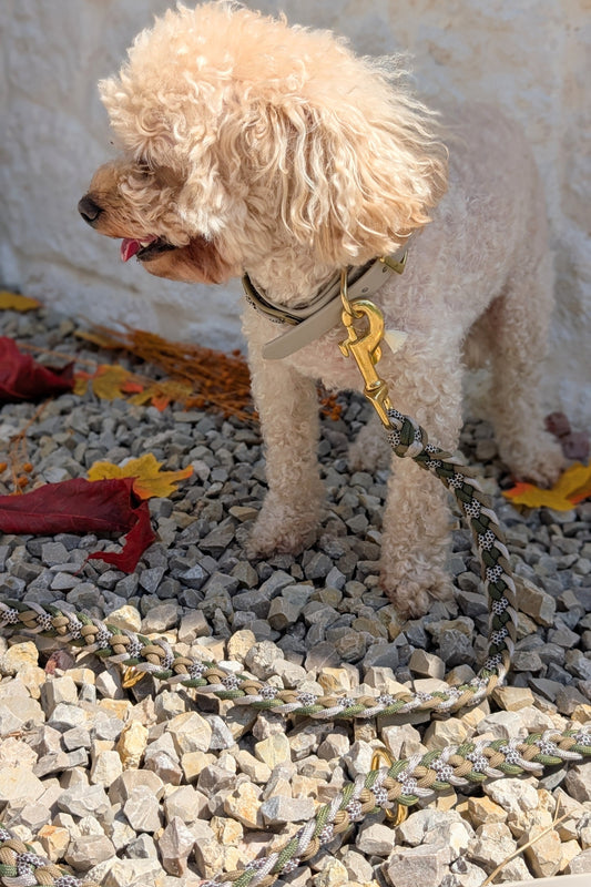 Calma Muddy Forest – geflochtene Leine mit BioThane®-Kurzführer, Autumn Leaf Kollektion