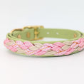 Bild in Galerie-Betrachter laden, Calma Bloom Hundehalsband aus geflochtenem Paracord in frischer Farbkombination, handgemacht und passend zur Calma Leine Bloom.

