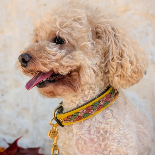 Calma Autumn Leaf – geflochtenes Hundehalsband, Autumn Leaf Kollektion