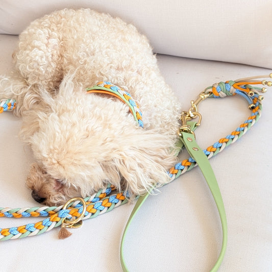 Paracord Hundeleine, geflochtene Hundeleine, Hundeleine mit Kurzführer, verstellbare Hundeleine, handgemachte Hundeleine, Calma Kollektion