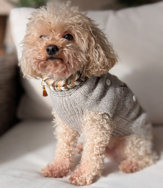 BioThane® Halsband Loam 2.0 – ruhiges, erdiges Design