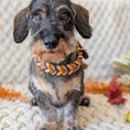 Bild in Galerie-Betrachter laden, Leder Hundehalsband Whiskey Ember – Herbstkollektion LucyLu Design®
