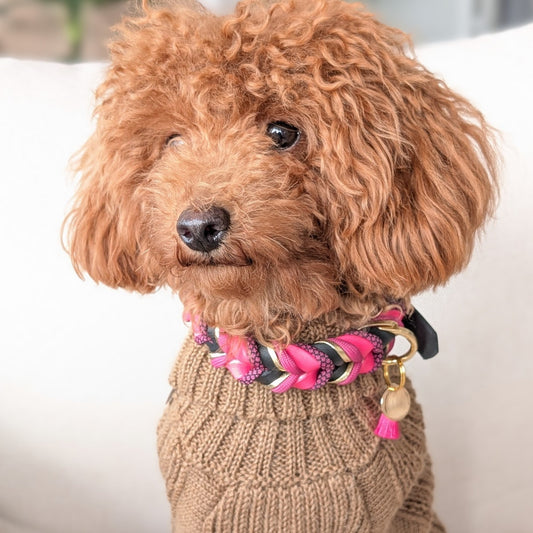 BioThane® Halsband Ruby 2.0 – winterliches Design mit klarer Eleganz