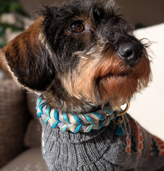 BioThane® Halsband Robin 2.0 – klares, modernes Design