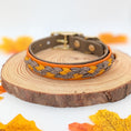 Bild in Galerie-Betrachter laden, Calma Whiskey Amber – geflochtenes Hundehalsband, Autumn Leaf Kollektion
