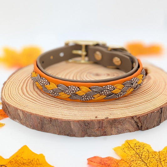 Calma Whiskey Amber – geflochtenes Hundehalsband, Autumn Leaf Kollektion