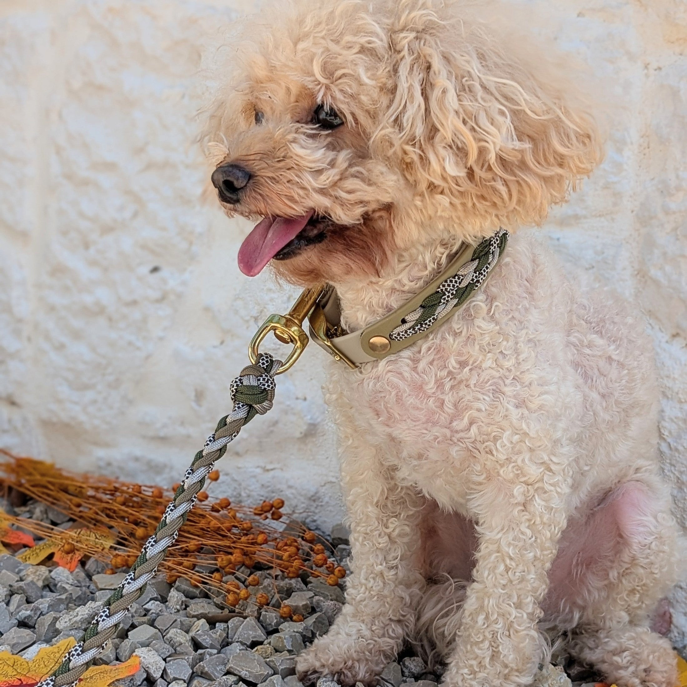 Calma Muddy Forest – geflochtenes Hundehalsband, Autumn Leaf Kollektion