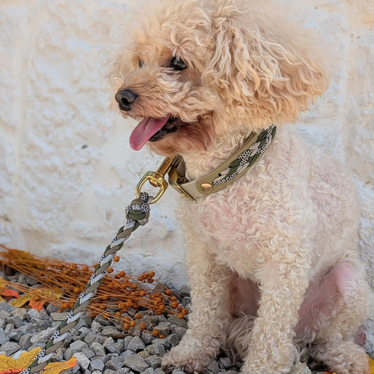 Calma Muddy Forest – geflochtenes Hundehalsband, Autumn Leaf Kollektion