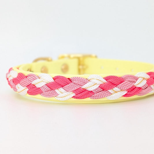 Calma Candy Cream Hundehalsband aus geflochtenem Paracord in sanfter Farbkombination, handgemacht und passend zur Calma Leine Candy Cream.