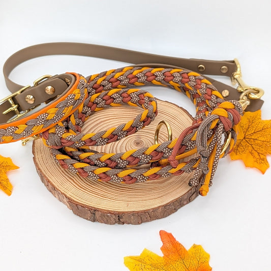 Calma Whiskey Amber – geflochtene Leine mit BioThane®-Kurzführer, Autumn Leaf Kollektion