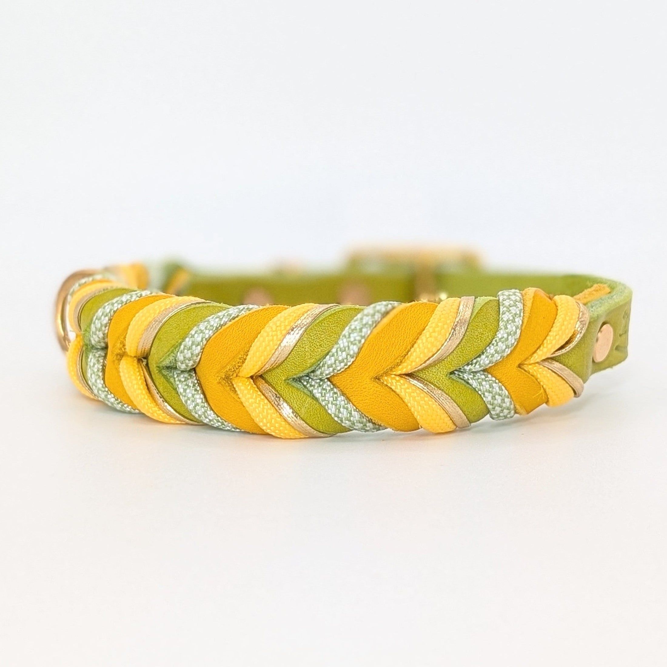 Leder Hundehalsband Bright aus Leder in frischer Frühlingsfarbwelt – handgemacht von LucyLu Design®