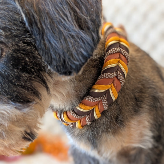 Leder Hundehalsband Whiskey Ember – Herbstkollektion LucyLu Design®