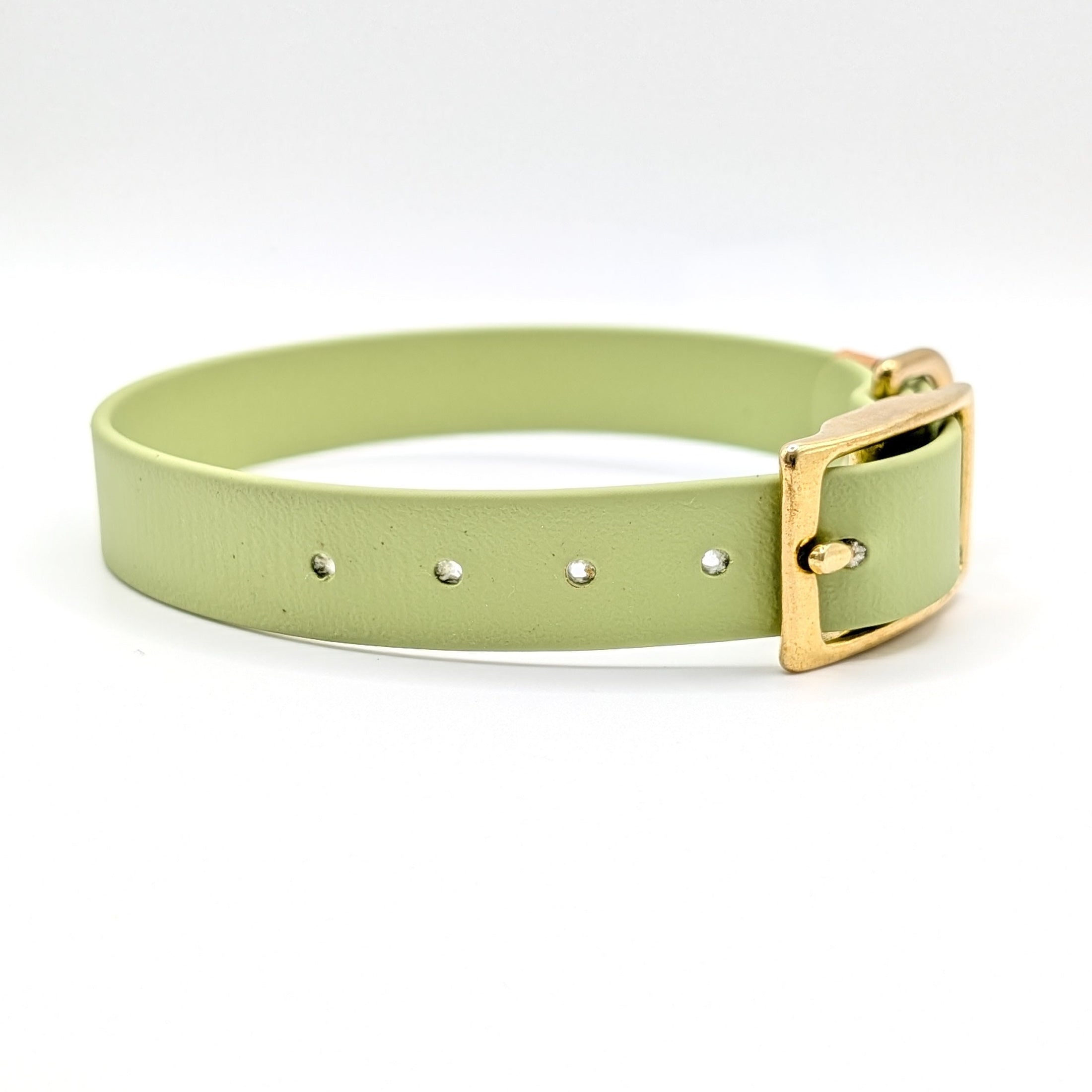 Biothane Halsband, Hundehalsband, Hundeaccessoires