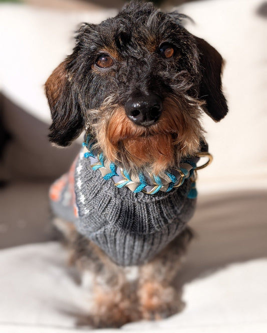 BioThane® Set Robin 2.0 – Halsband & Leine im klaren Winterdesign