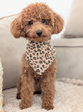 Bild in Galerie-Betrachter laden, „Musselin-Bandana Leo Caramel – handgefertigtes Hundebandana mit Leo-Print“
