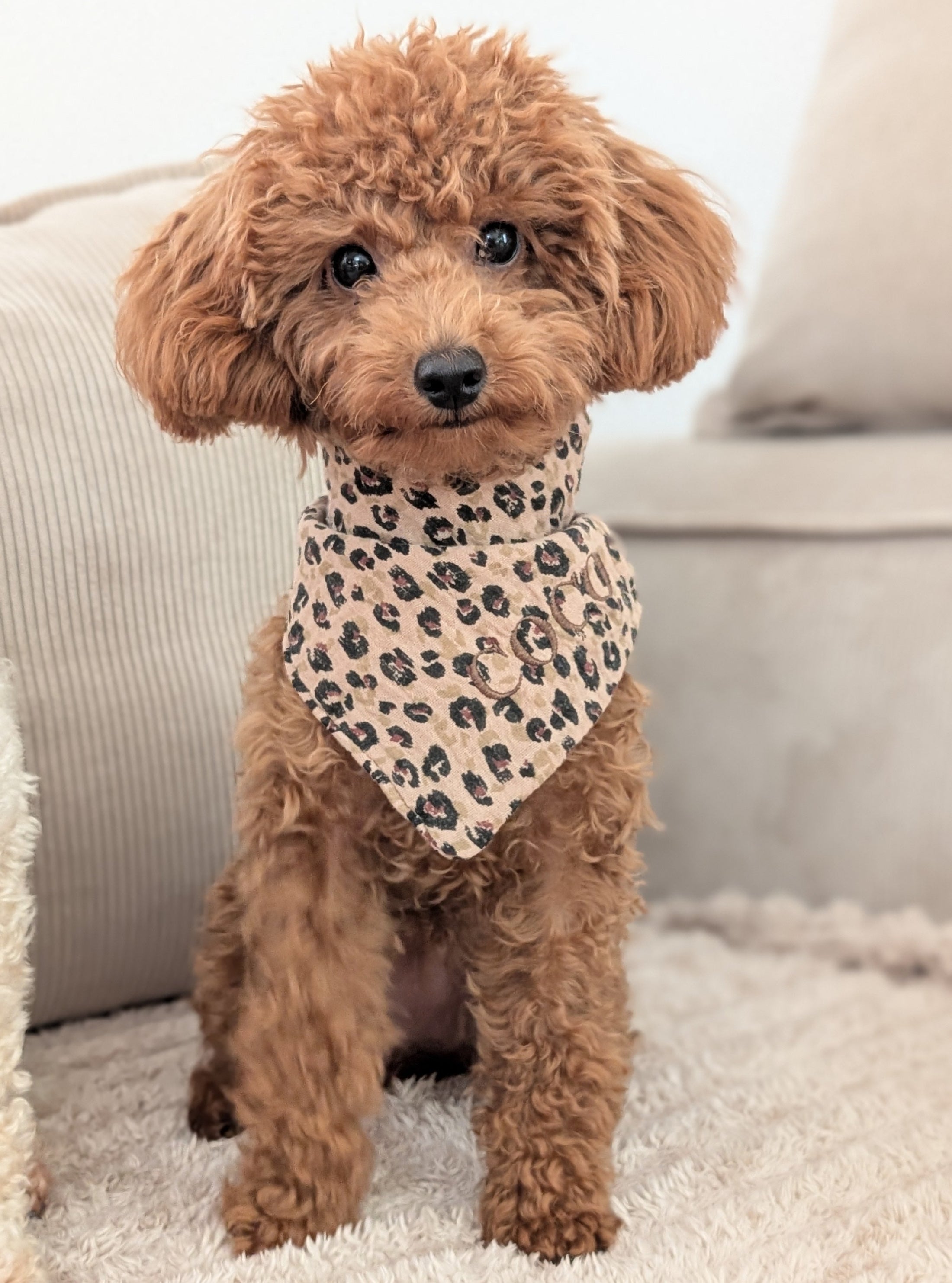 „Musselin-Bandana Leo Caramel – handgefertigtes Hundebandana mit Leo-Print“