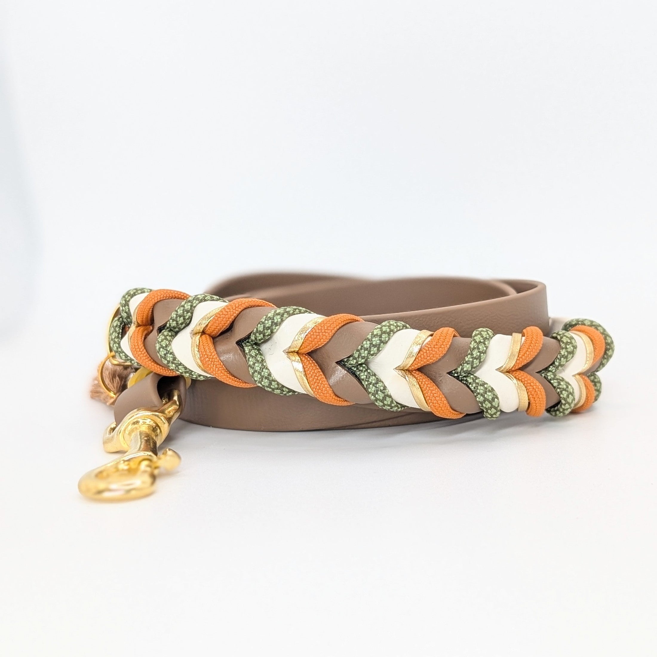 Hund mit BioThane Leine Sierra