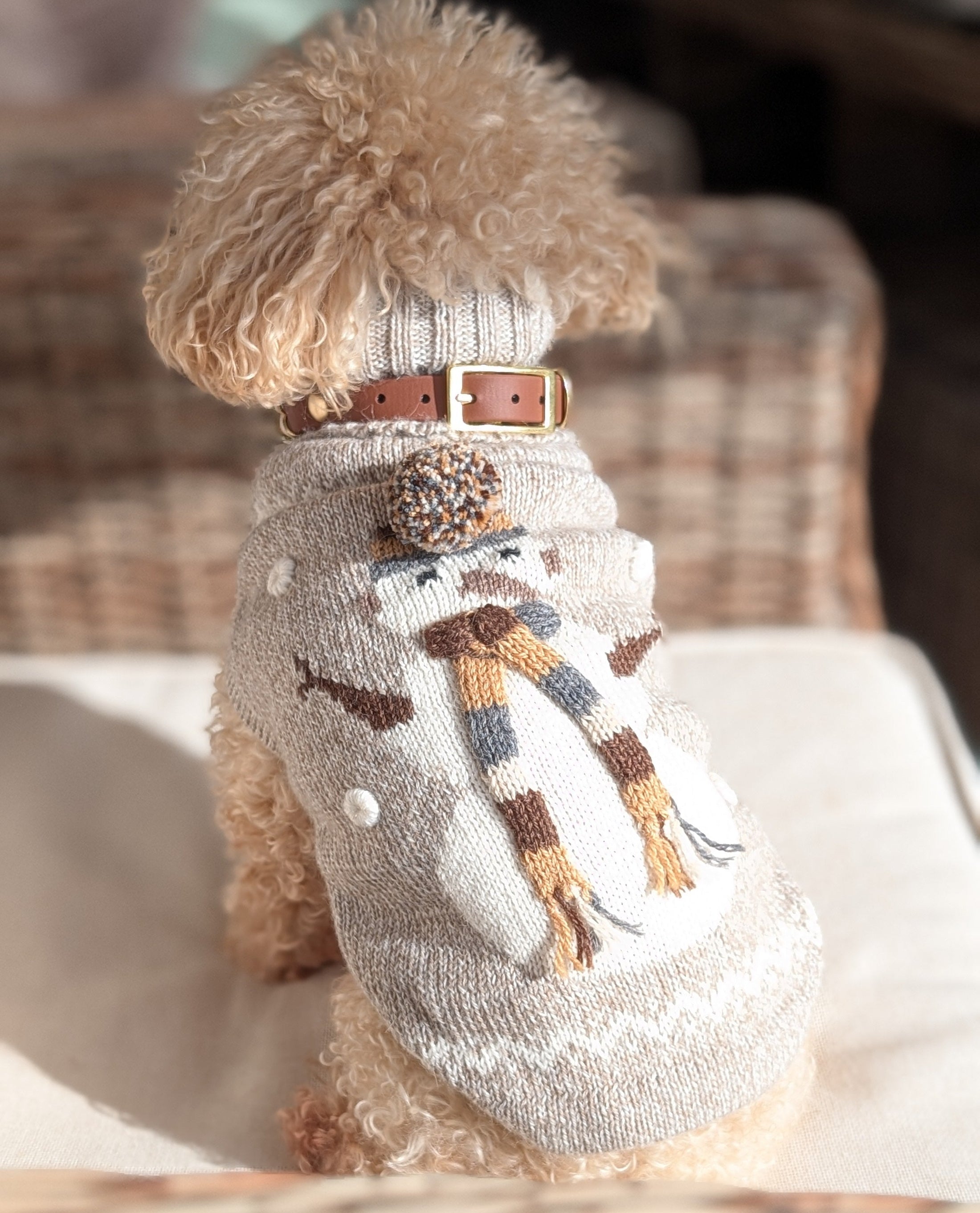 Hundepullover Snowman Taupe aus Alpakawolle – handgefertigt in Taupe mit Schneemann-Motiv